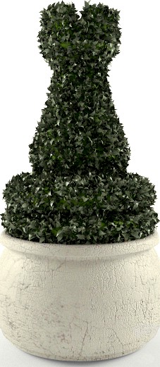 Topiary Rook