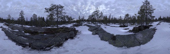 Nature HDRI - Northern Spring Forest