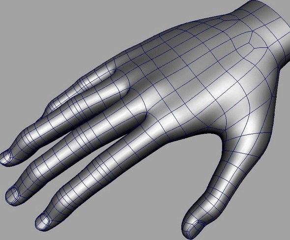 Hand Base mesh