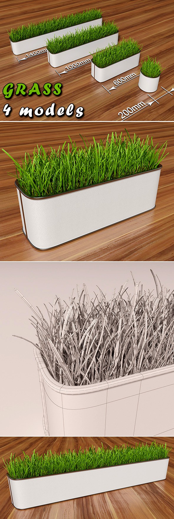 Decorative grass in a pot