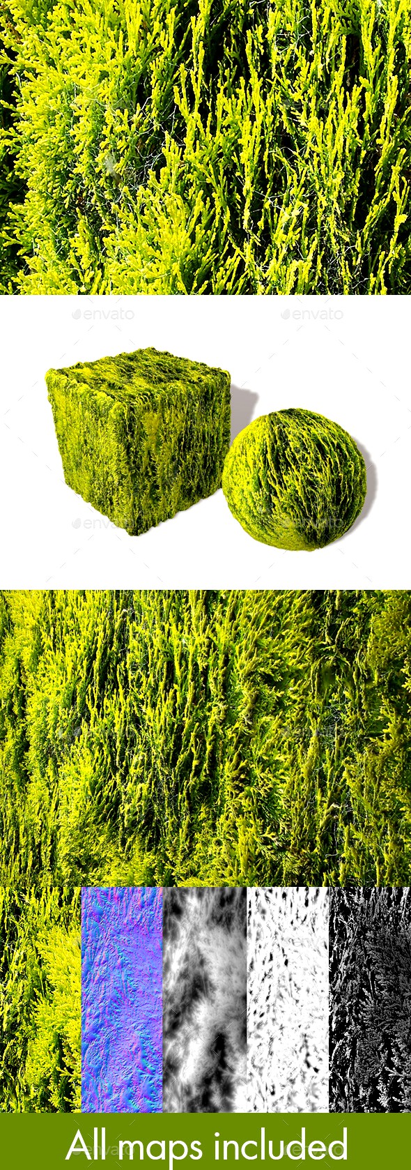 Fir Cobwebs Seamless Texture