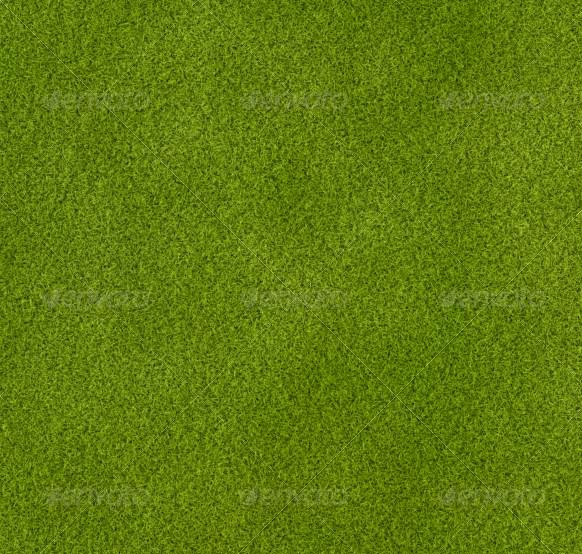 Grass Texture