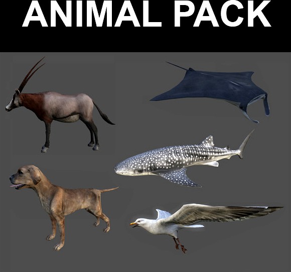 Animal Pack