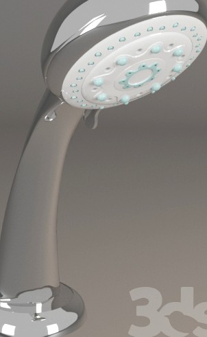 shower head (shower)