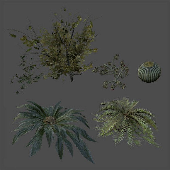 Plants Set