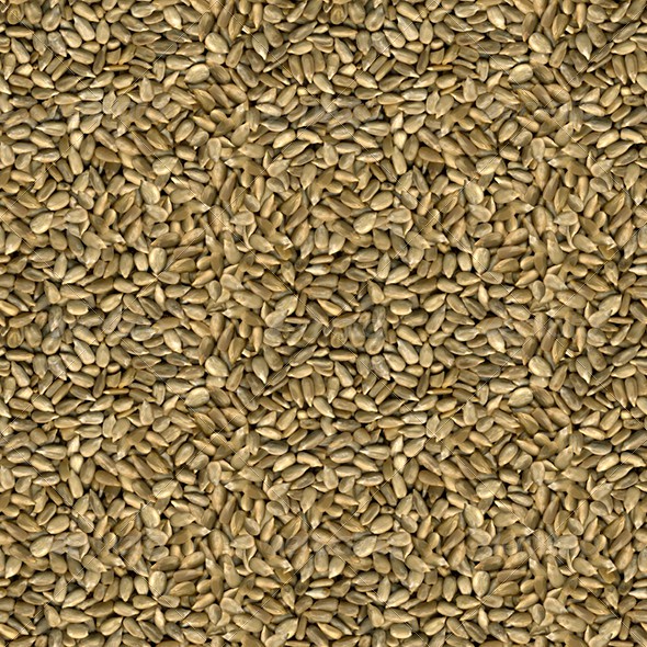 Sunflower Seeds Seamless Texture