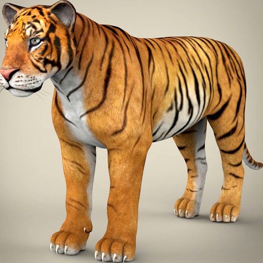 Realistic Bengal Tiger