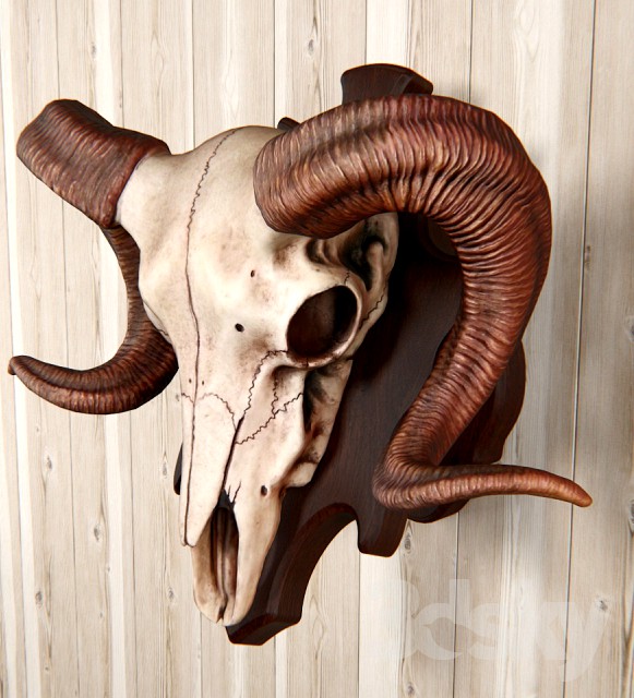 ram skull with wall mount