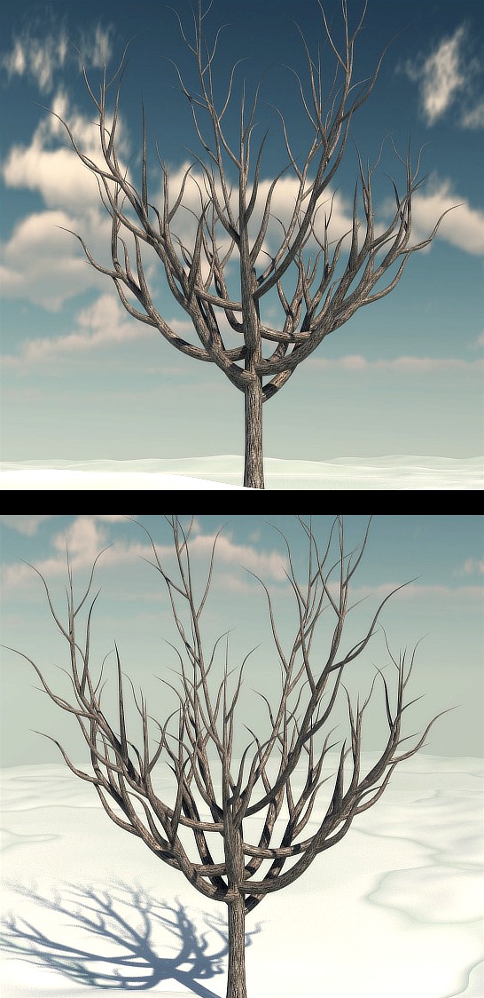 Winter Tree 2