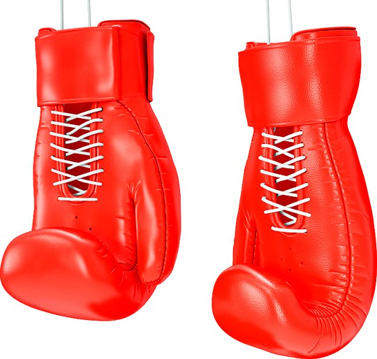 Boxing Glove