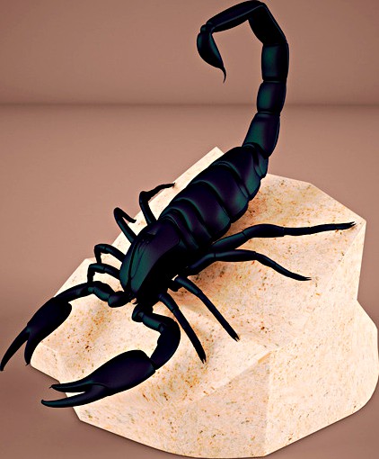 Scorpion