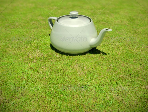 1433 - Grass Short Dry