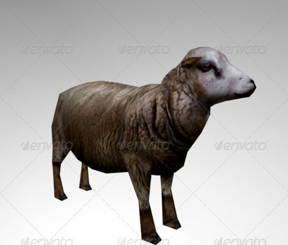 Animated Lowpoly Sheep