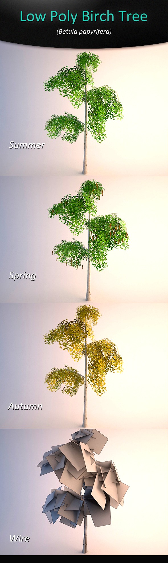 Low Poly Birch Tree