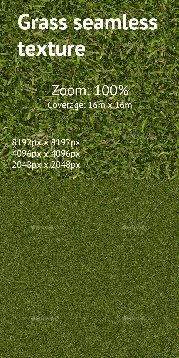 Seamless texture of the lawn grass
