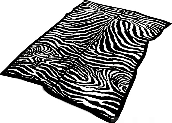 Zebra rug