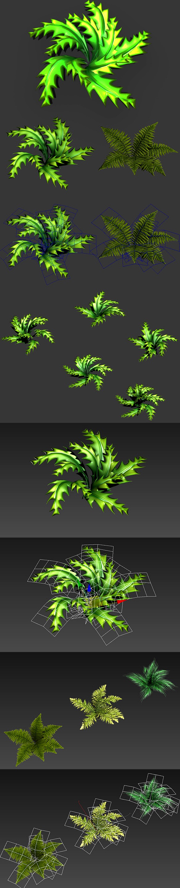 Toon and Realistic Fern Shrubs