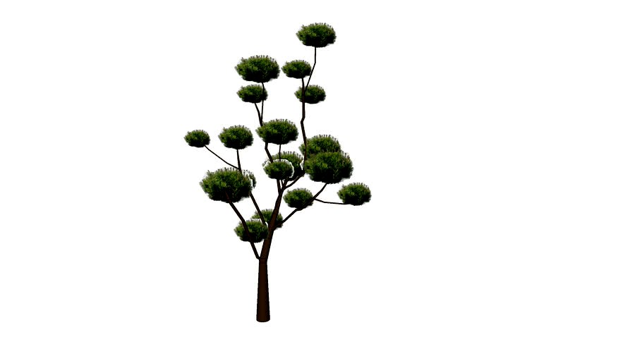 Cloud Tree