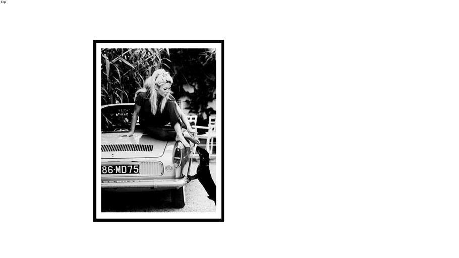 Affiche noir et blanc brigitte Bardot Desenio 3d model