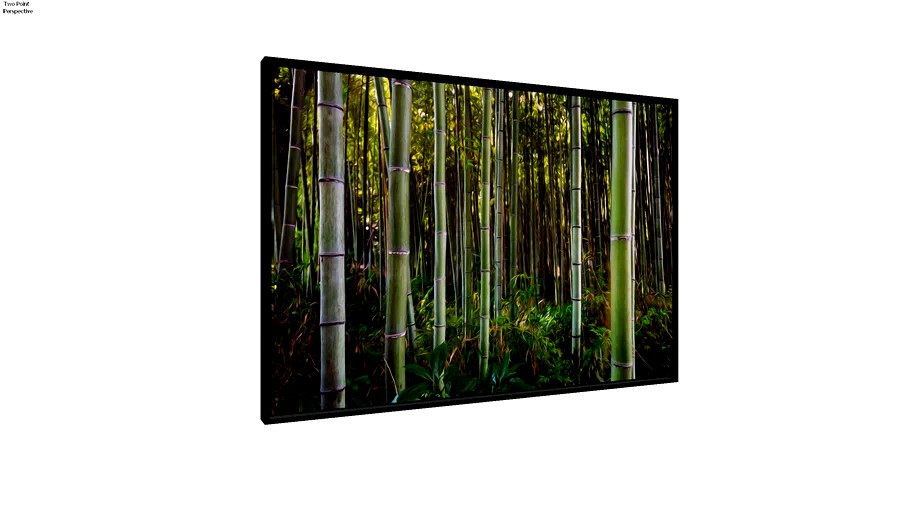 Quadro Floresta de Bamboo