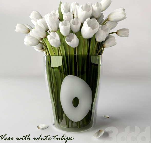 Vase with white tulips