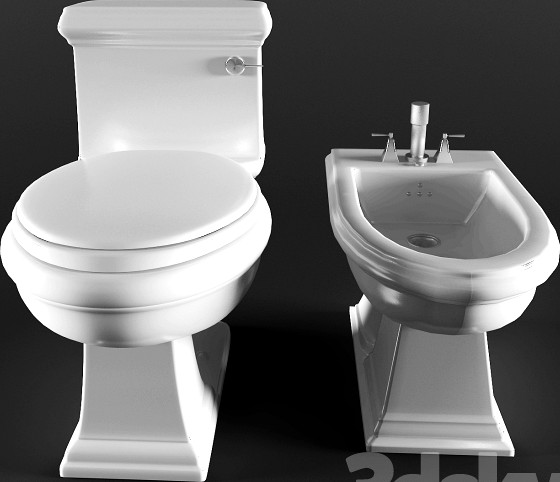 The toilet and bidet