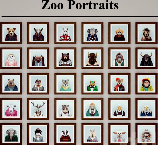 Zoo Portraits