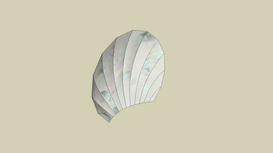 sea shell