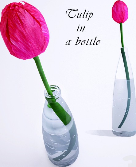 Tulip in a bottle