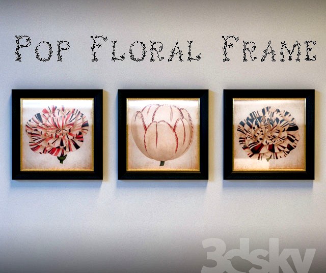 Pop floral frame