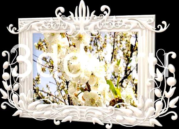 3DDD FRAMES