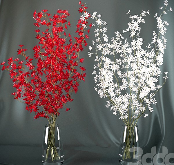 Dendrobium Orchid flowers (red/white)