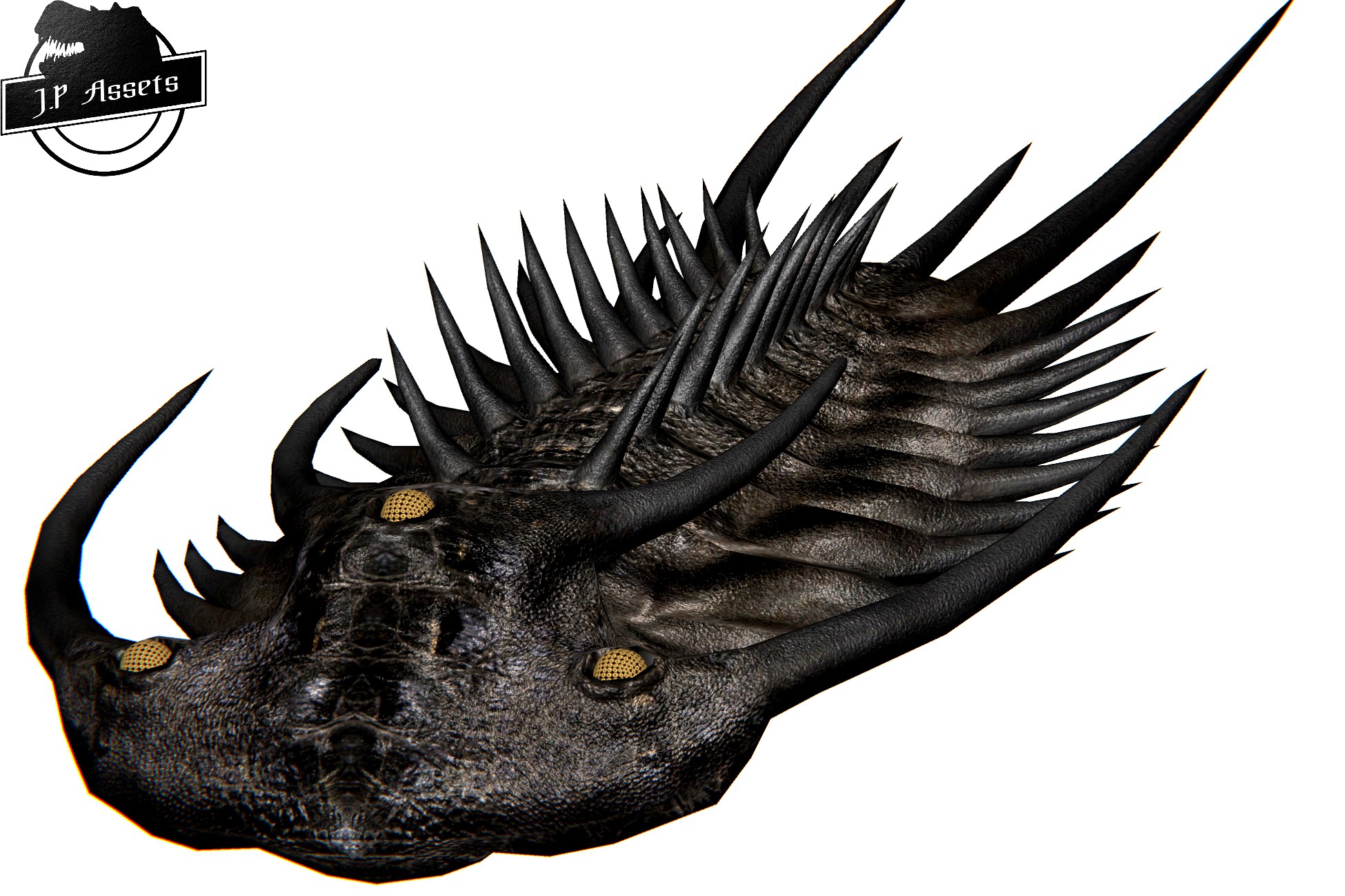 JP Trilobite
