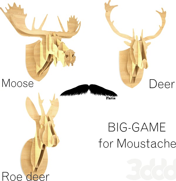 Moustache / trophies