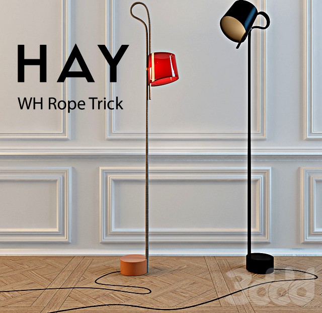 Hay WH Rope Trick