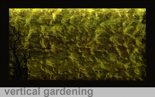 Vertical gardening стабилизированый мох