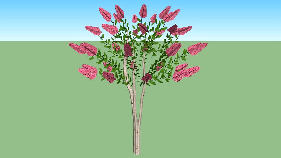 3d Crape Myrtle