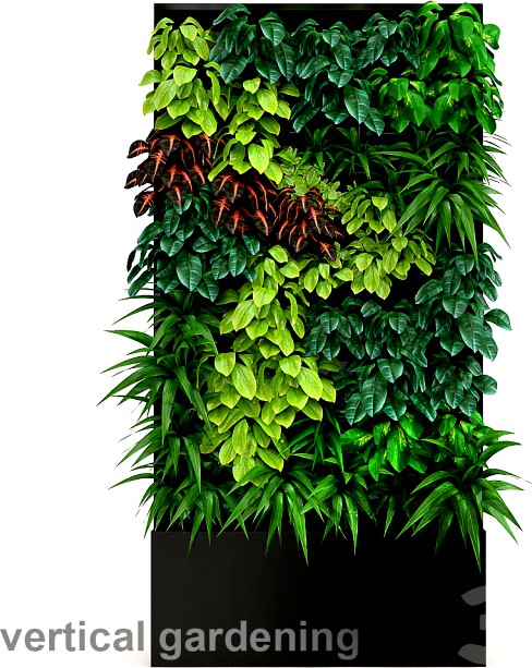 Vertical gardening 2