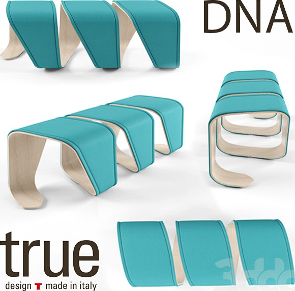 True Design DNA