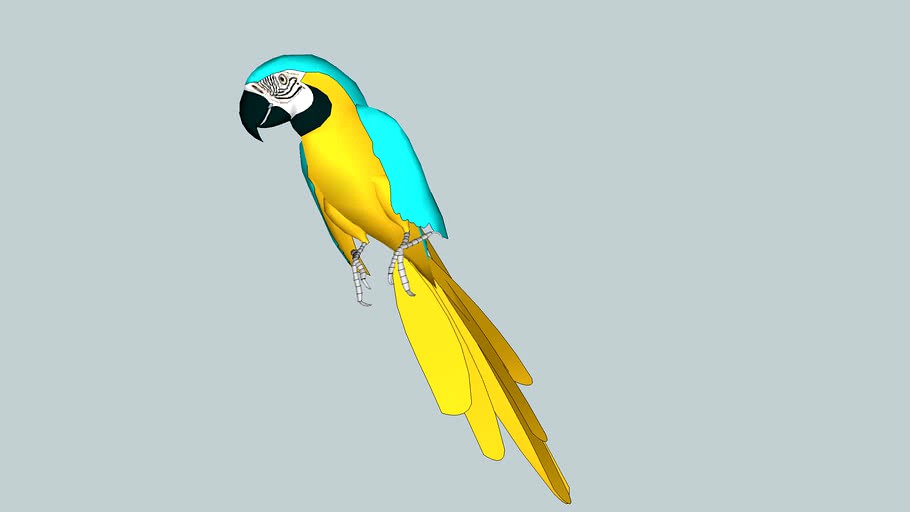 parrot