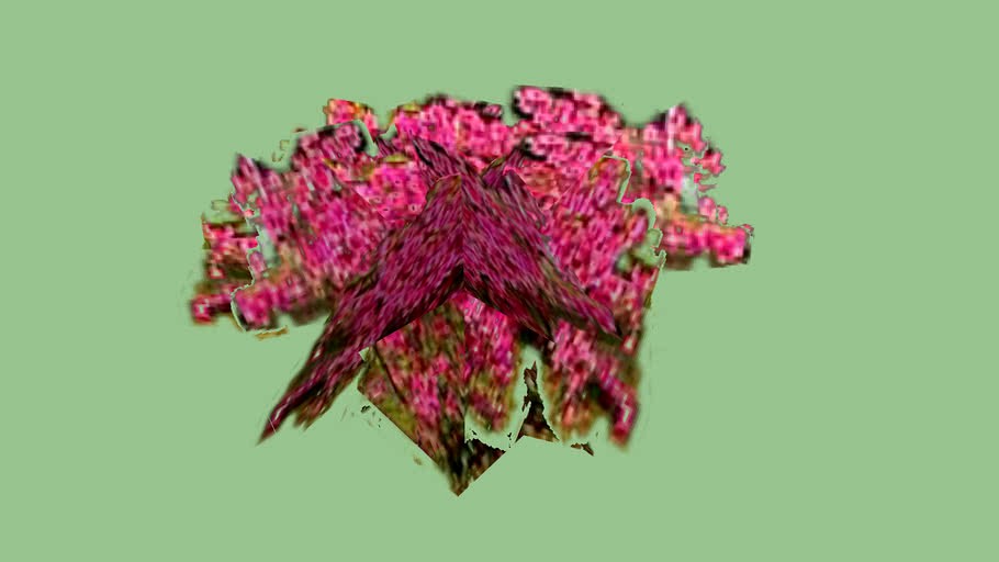 Rhododendron(杜鵑)3D