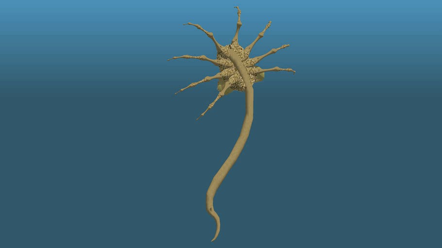 Alien Facehugger