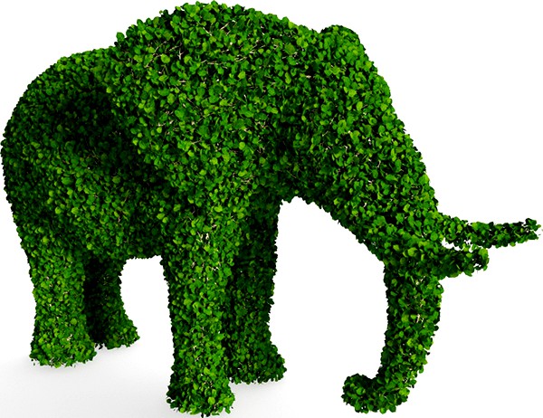 Elephant topiary sculpture