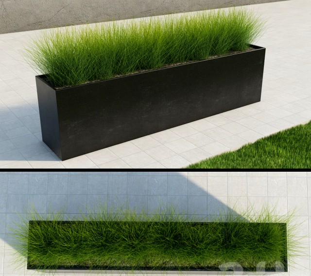 Stylish Grass
