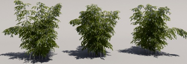 Bush blooming, three iterations