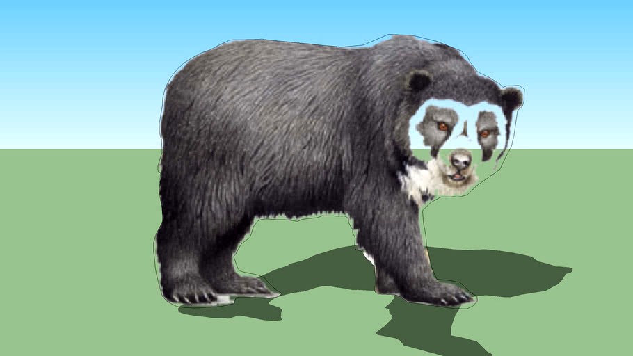 oso de anteojos 1