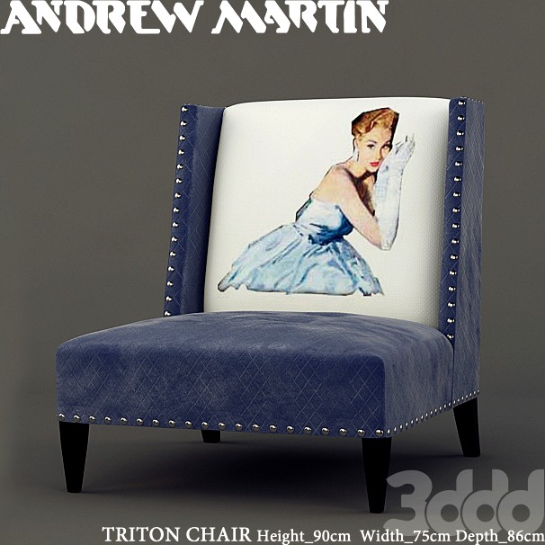 ANDREW MARTIN