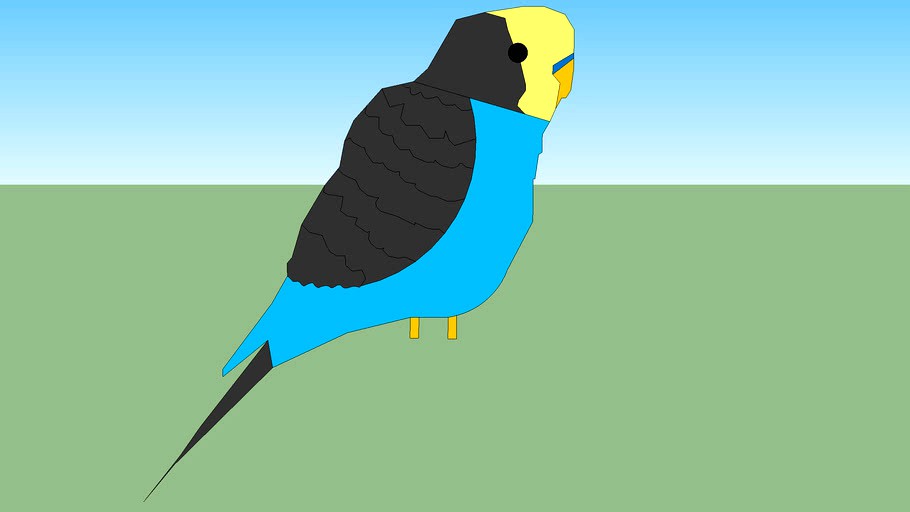 Parakeet