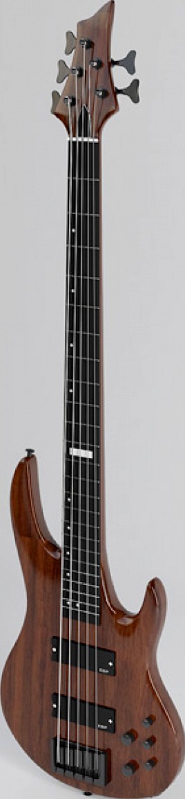 ESP LTD d-5