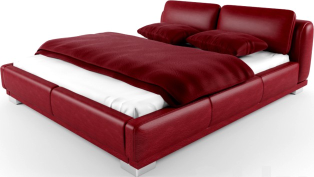 Red Leather Bed